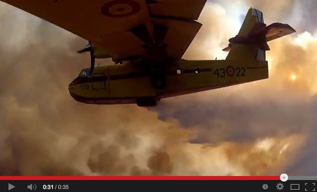 palencia, zamora, tejeda, tosande, lago sanabria, árboles, caixa, co2, cambio climático, perdiz pardilla, ávila, arlanzón, burgos, huérmeces, ubierna, incendio, incendios, caixa, campaña, acuerdo, medio ambiente, castilla león,