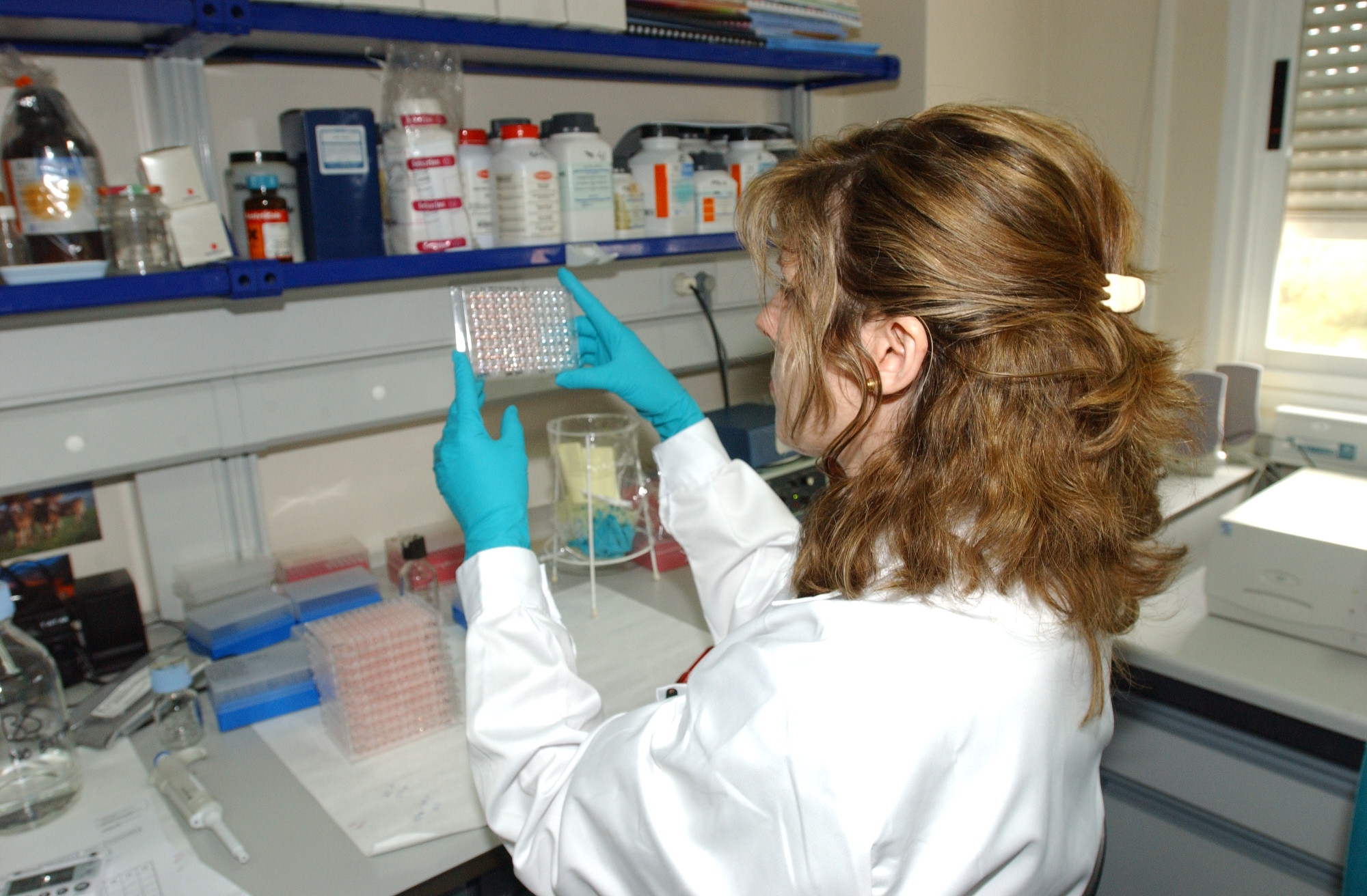 El Gobierno aprueba el incremento de las indemnizaciones estatales por sacrificio de animales y para repoblación de explotaciones