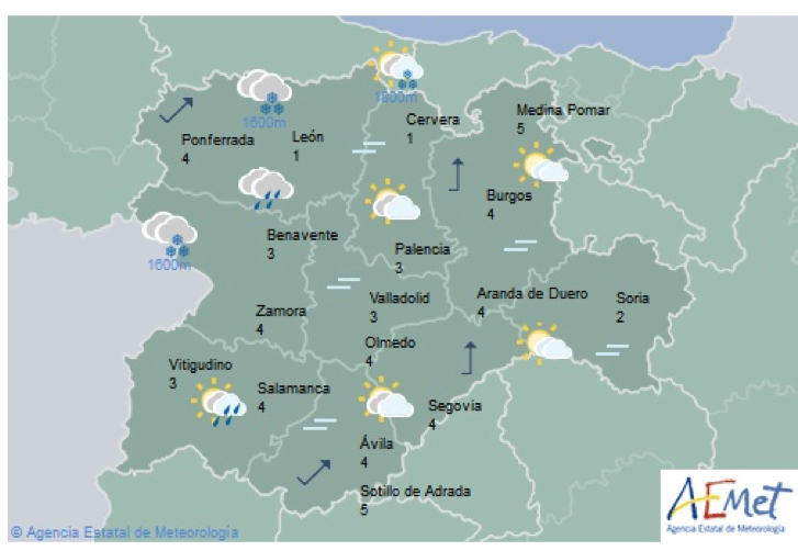 Entrada sin título 434