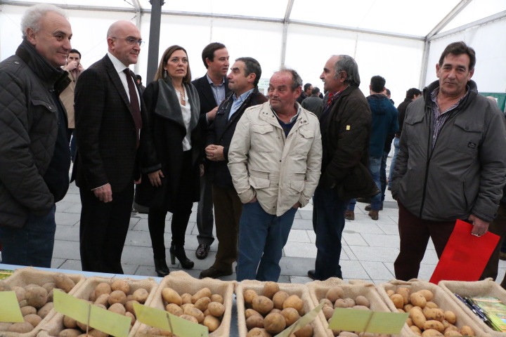 Arranca la interprofesional de la Patata en Castilla y León con todos los agentes que la pueden componer