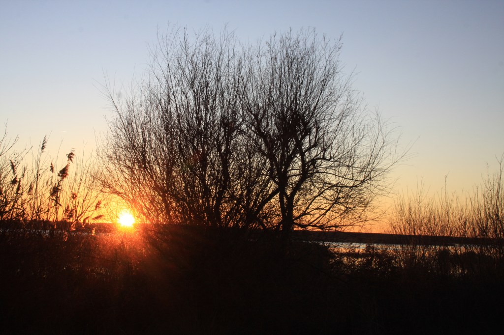 Expertos internacionales debatirán sobre la gestión de los ríos y los humedales de la Red Natura&nbsp;2000