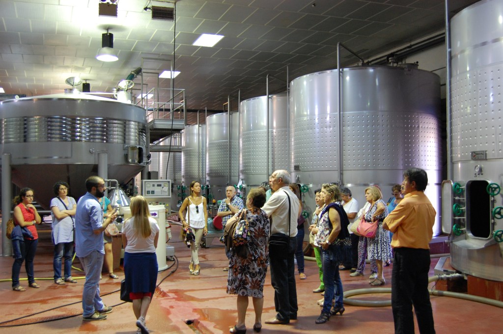 Castilla y León afianza su liderazgo en enoturismo, con más de medio millón de visitantes a las ocho Rutas del Vino, un 10,42 % más que el año&nbsp;anterior