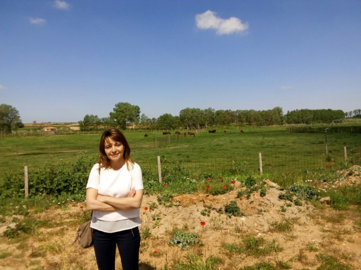 La fiscalidad como incentivo en la producción forestal y el potencial económico de la biomasa cierran el ciclo de jornadas ecológicas organizadas en&nbsp;Madridanos