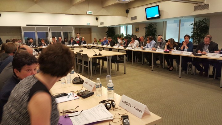 El Comité Mixto Franco-Hispano-Italiano de frutas y hortalizas analiza el desarrollo de las campañas y la situación de los&nbsp;mercados