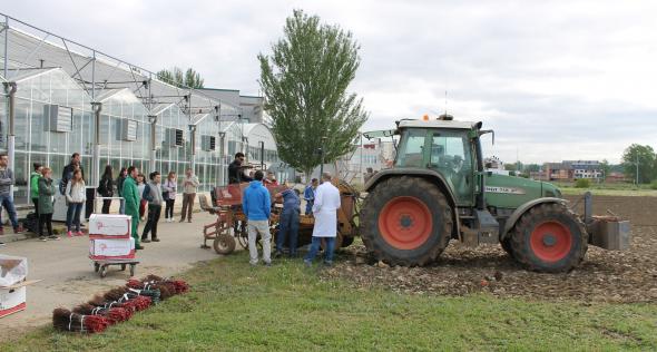 30-Mayo-2016 (Plantación viñedo experimental en la ULE)-01.preview