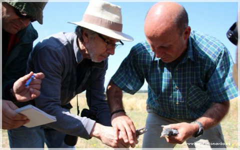 ‘Conoce las aves de&nbsp;Ávila’
