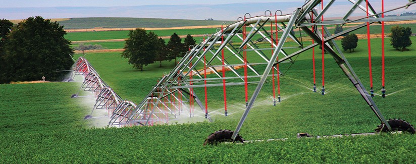 El Centro Nacional de Tecnología de Regadíos organiza una jornada gratuita sobre dignación, bigdata y&nbsp;ciberseguridad