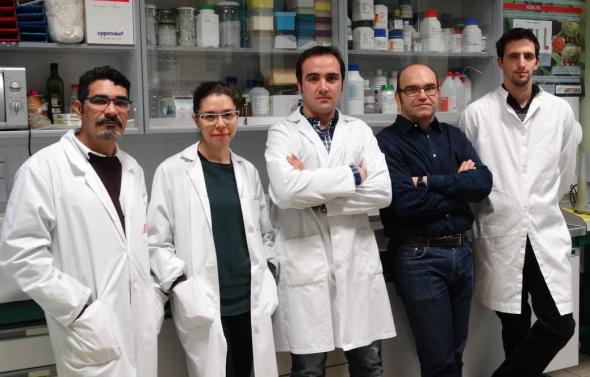 La ULE investiga una solución biológica a las enfermedades de madera de&nbsp;vid