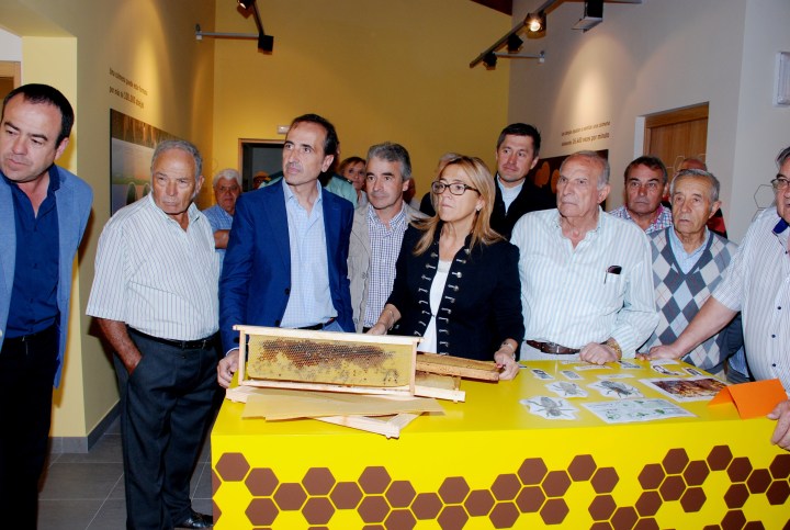 31365_279279201614402