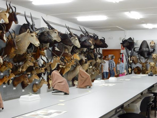 Cinco bloques temáticos integran ‘Bioespacios ULE’ para educar en&nbsp;sostenibilidad