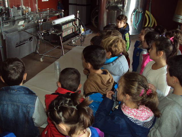 Las clases se trasladan a las bodegas de&nbsp;Cigales