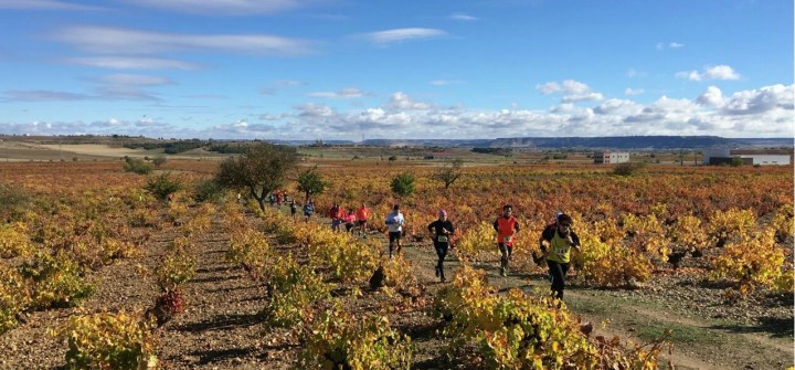 ‘Corriendo entre Viñas’ se despide en Mucientes con un homenaje póstumo a Francisco Javier Rebollo&nbsp;Pérez