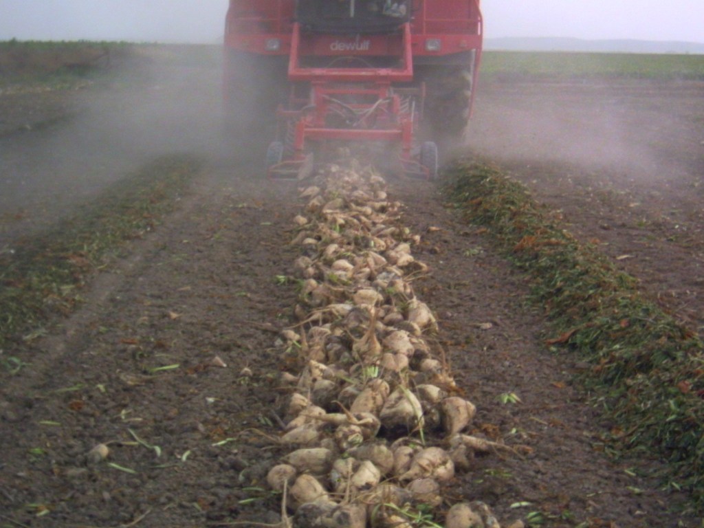 Los productores entregan a 952.000 toneladas tras una campaña&nbsp;difícil