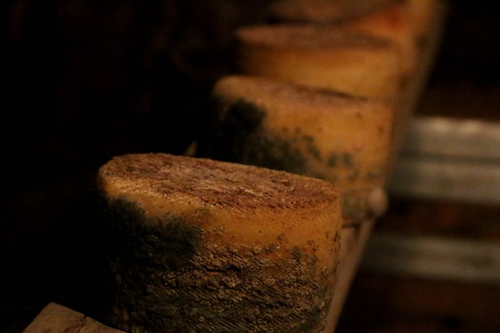 Mapama convoca el premio “Alimentos de España al Mejor Queso, año&nbsp;2017”