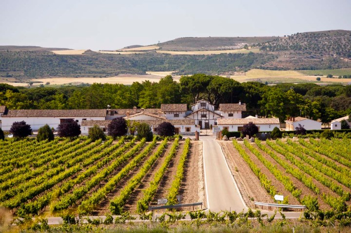 Ruta de los Sabores de Villa y Tierra: un recorrido gastronómico maridado con Ribera del&nbsp;Duero
