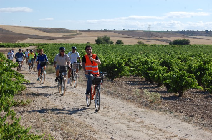 La primera edición de Ribera Run Race maridará en septiembre deporte y enoturismo en torno a&nbsp;Peñafiel