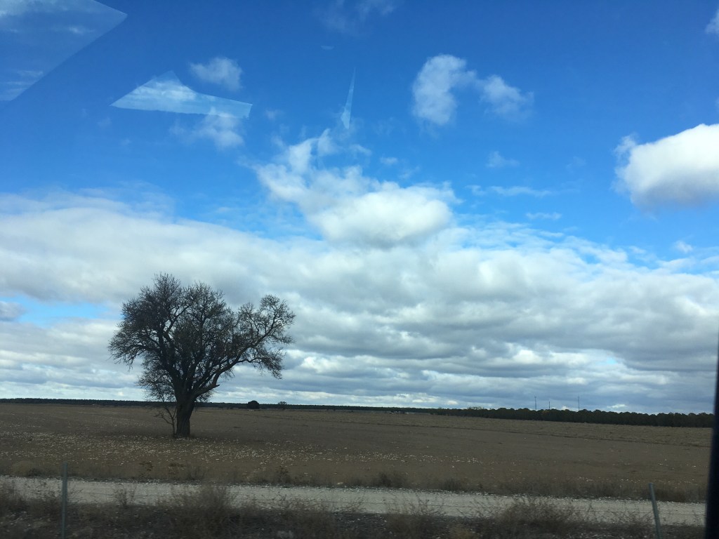 El Gobierno autoriza la suscripción de convenios para el desarrollo y mantenimiento del sistema común para la gestión, control y pago de ayudas de la&nbsp;PAC