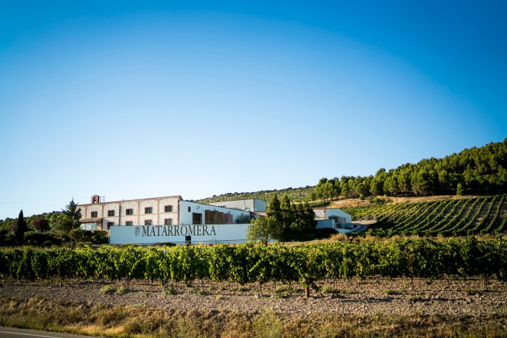 BODEGA-MATARROMERA.jpg