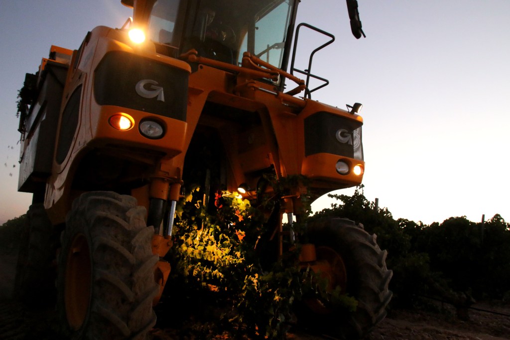 FINALIZA LA VENDIMIA EN LA D.O. RUEDA CON EXCELENTES EXPECTATIVAS PARA LA AÑADA DE&nbsp;2021