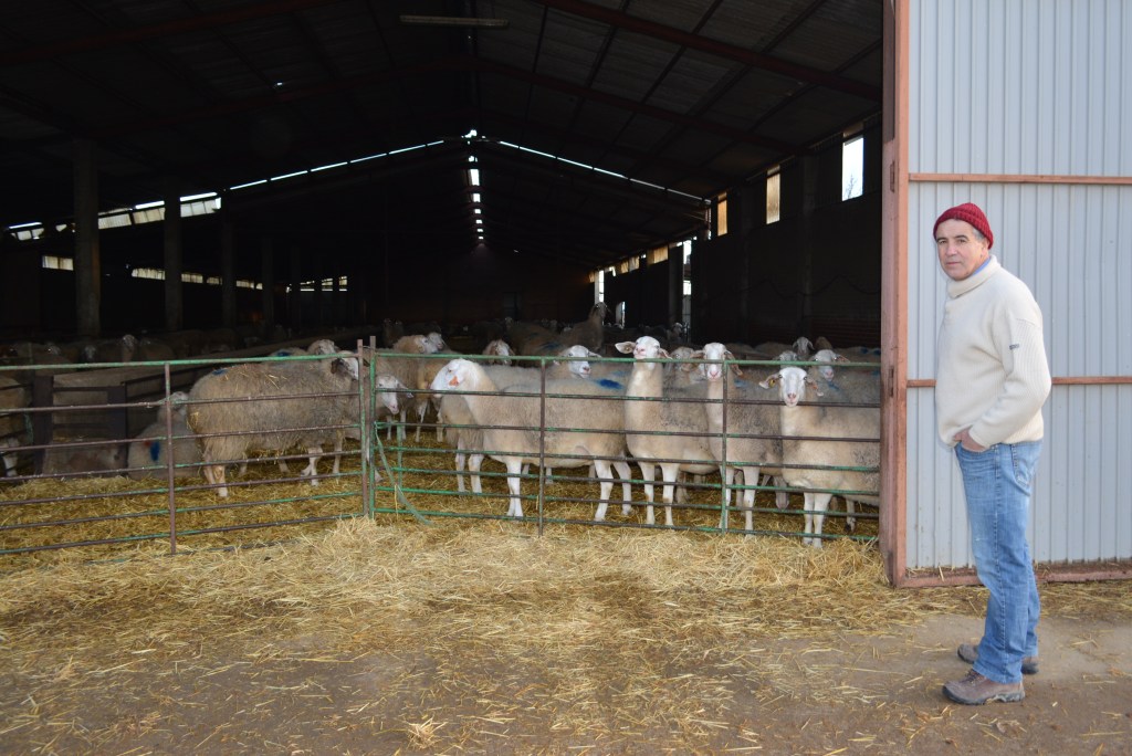 “Estamos trabajando gratis”