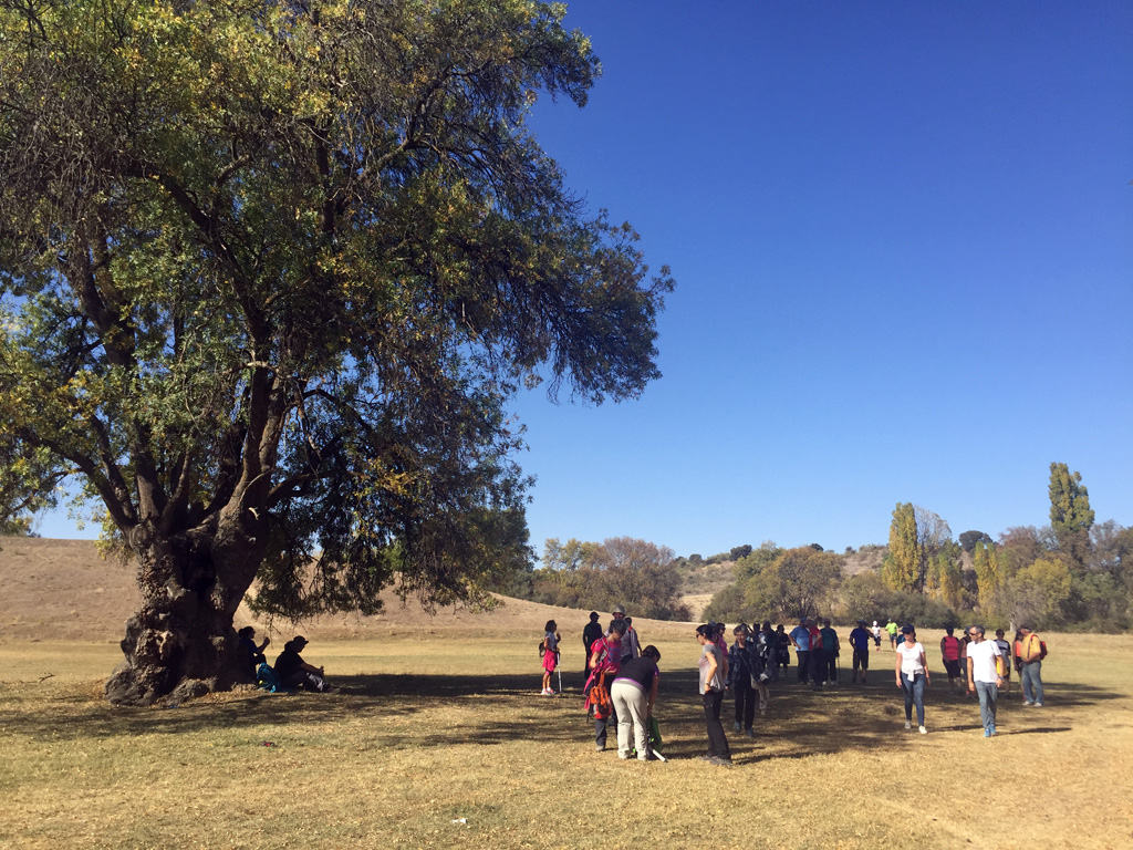 Segovia propone recorrer la riqueza paisajística de la provincia en invierno a través de cuatro nuevas&nbsp;rutas