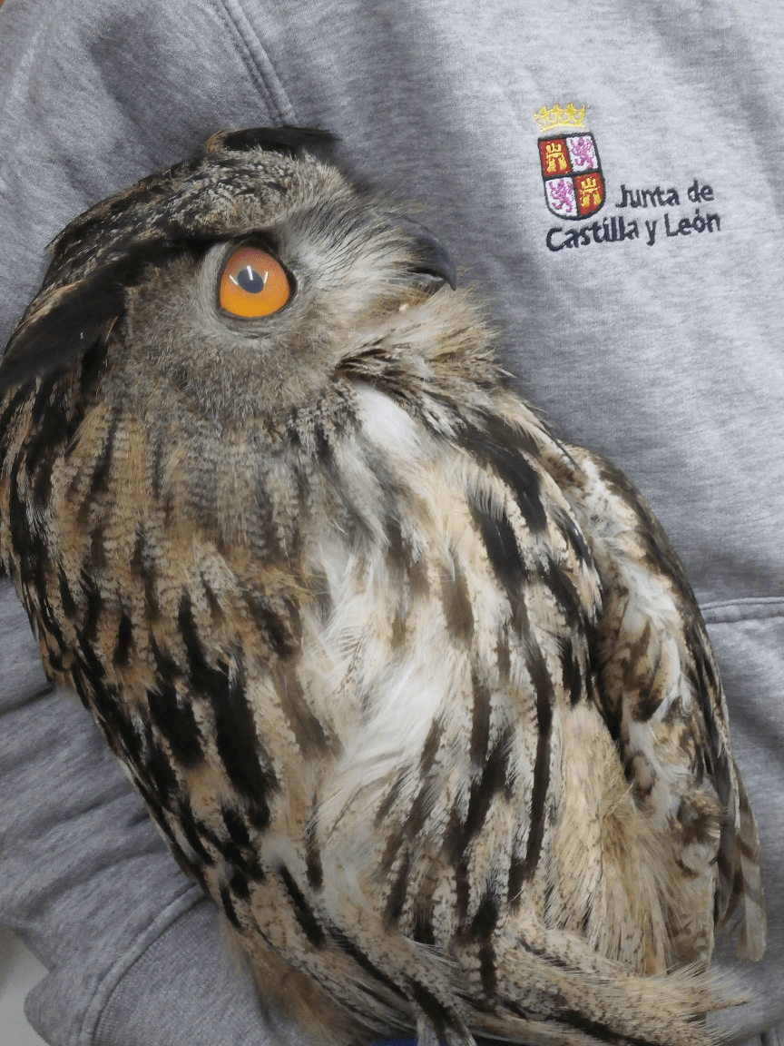 Entrada sin título 4953