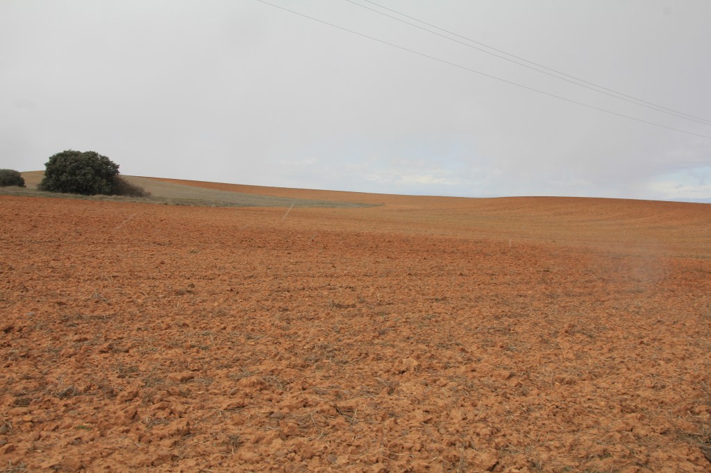 El Ayuntamiento de Valencia de Don Juan indica a los propietarios de parcelas a que acrediten su titularidad para llevar a cabo la concentración&nbsp;parcelaria