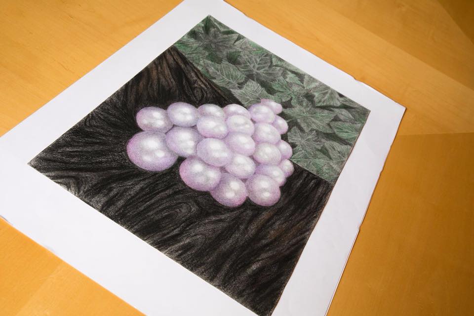 Los centros CEIP San Gil de Cuéllar, CRA Alfoz de Toro, CEIP Melquiades Hidalgo de Cabezón de Pisuerga, La Inmaculada MSJO, IES Gil y Carrasco de Ponferrada, Colegio Santo Ángel, IES Jorge Guillén de Villalón de Campos y el centro IES Cardenal Sandoval y Rojas de Aranda de Duerohan resultado ganadores, en cuatro categorías distintas, del concurso Mi primera&nbsp;Vendimia