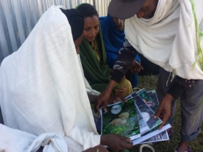 Trabajo-de-encuestas-a-las-mujeres-de-la-poblacion-de-Hawassa.jpg_116528909