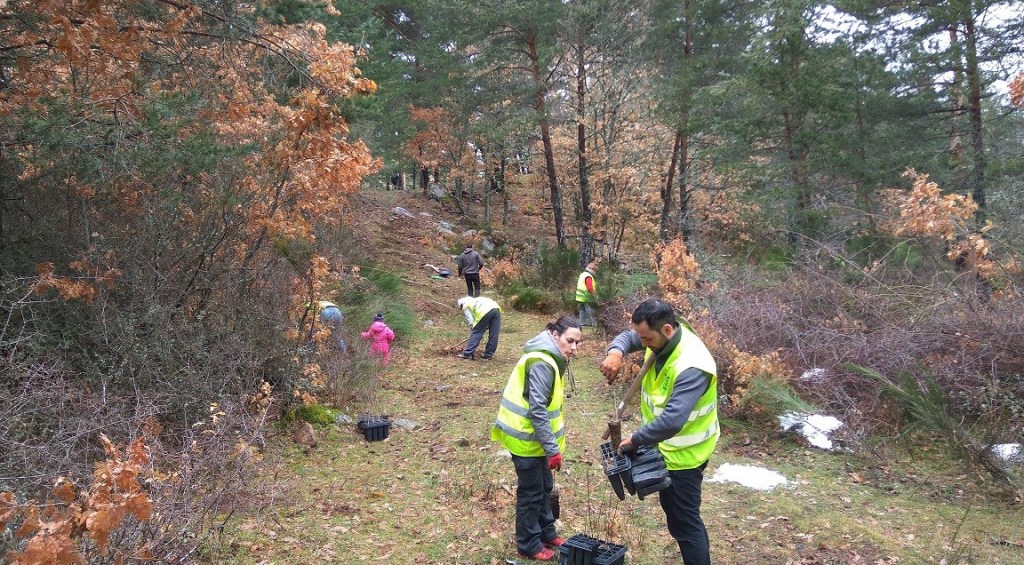 Trashumanda, marca el inicio de la ‘temporada’ para que la ‘sierra&nbsp;baile’