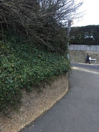 20170106-ACME-Muro-tapial-en-una-calle-del-Reino-Unido.jpg_116526055