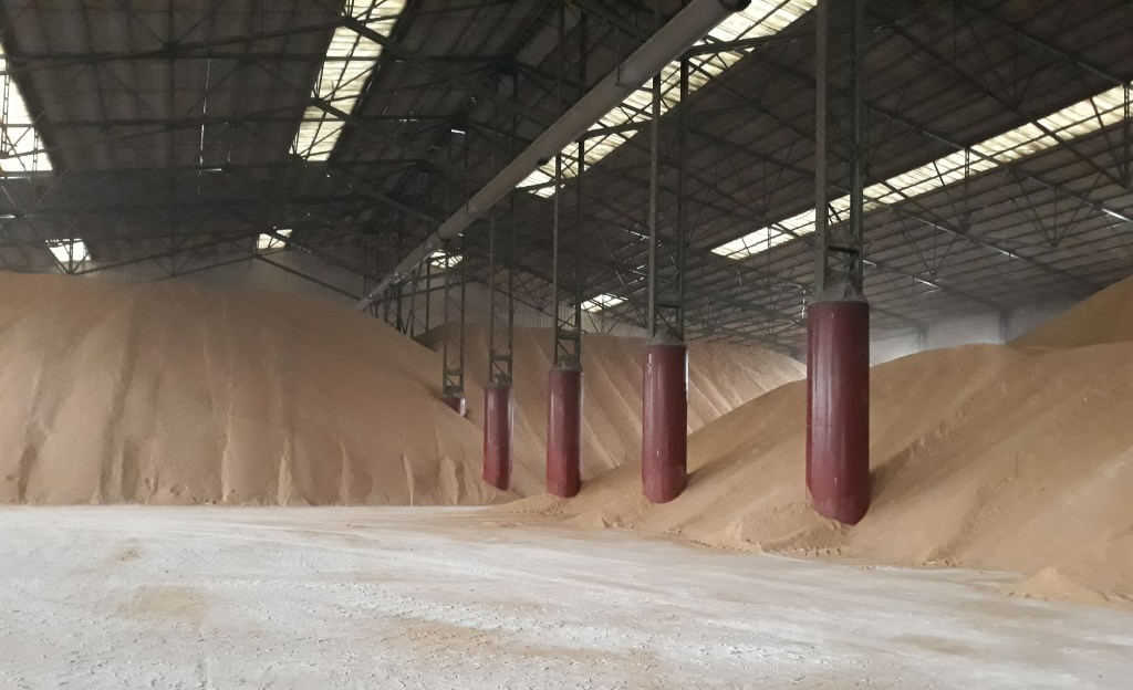 La remolacha entregada en ACOR sumará otros 4 euros de retorno cooperativo por&nbsp;tonelada