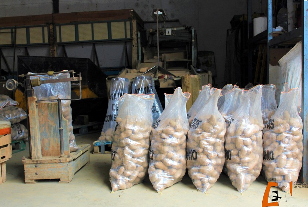 La Interprofesional de la Patata de Castilla y León incorpora el Plan nacional de controles para extender y mejorar la necesidad de las relaciones contractuales entre los agricultores y los&nbsp;compradores