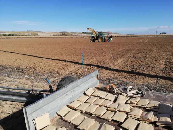 Ensayos de variedades en sistema&nbsp;ecológico