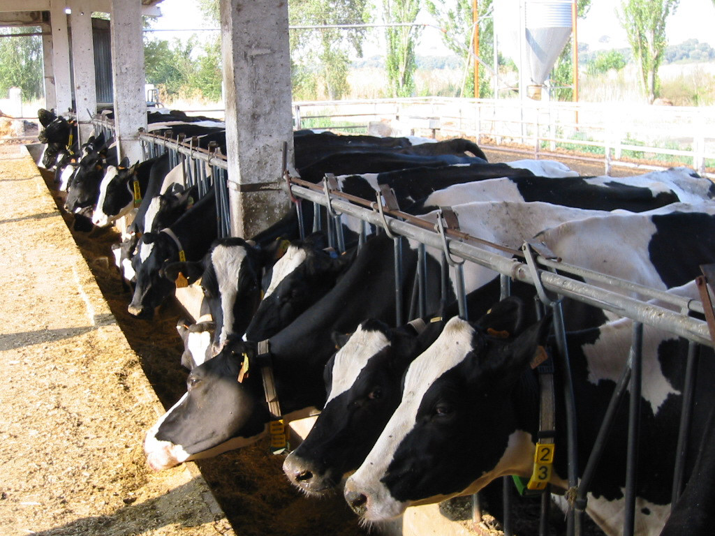 La Diputación  de Palencia renueva la colaboración con la Federación Frisona de Castilla y León (FEFRICALE) y mantiene el compromiso con la ganadería de leche y con el desarrollo&nbsp;rural