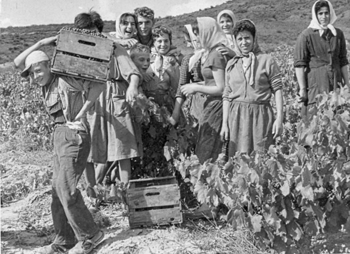 Ribera del Duero prepara un verano de grandes celebraciones por su 40&nbsp;aniversario