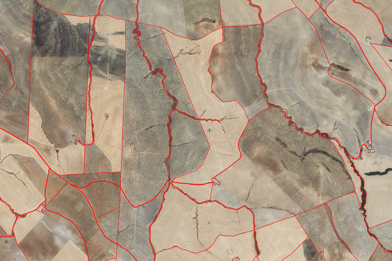 La Junta de Castilla y León flexibiliza los requisitos de la PAC ante la campaña agrícola excepcional marcada por lluvias persistentes.