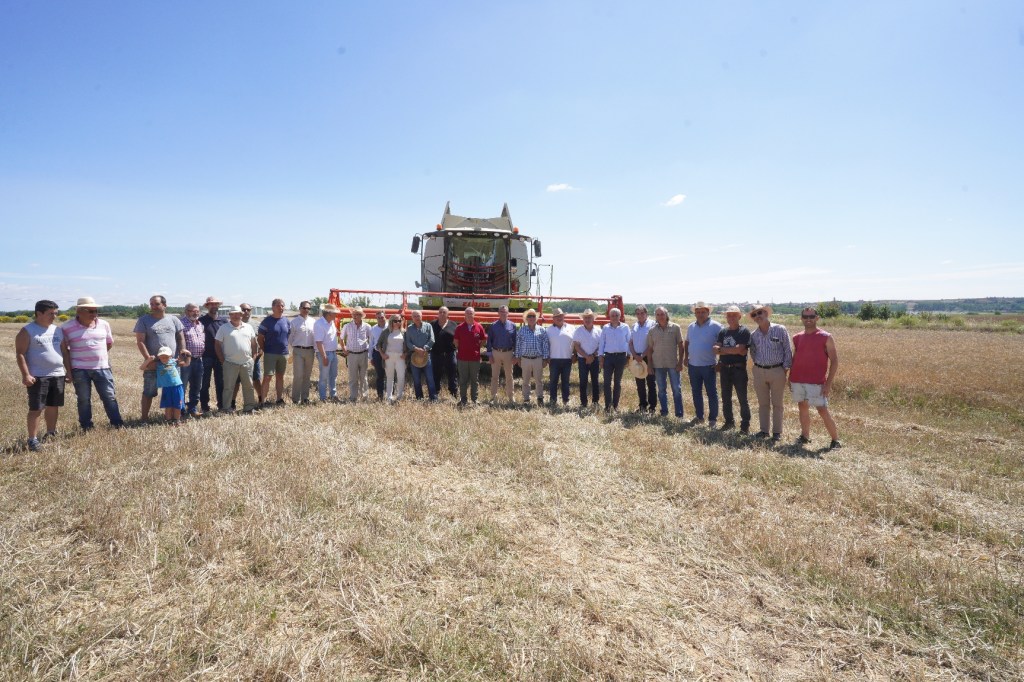La cosecha de cereal se reduce en Castilla y León a 3,24 millones de toneladas, lo que supone un descenso del 37 % respecto a la anterior&nbsp;campaña