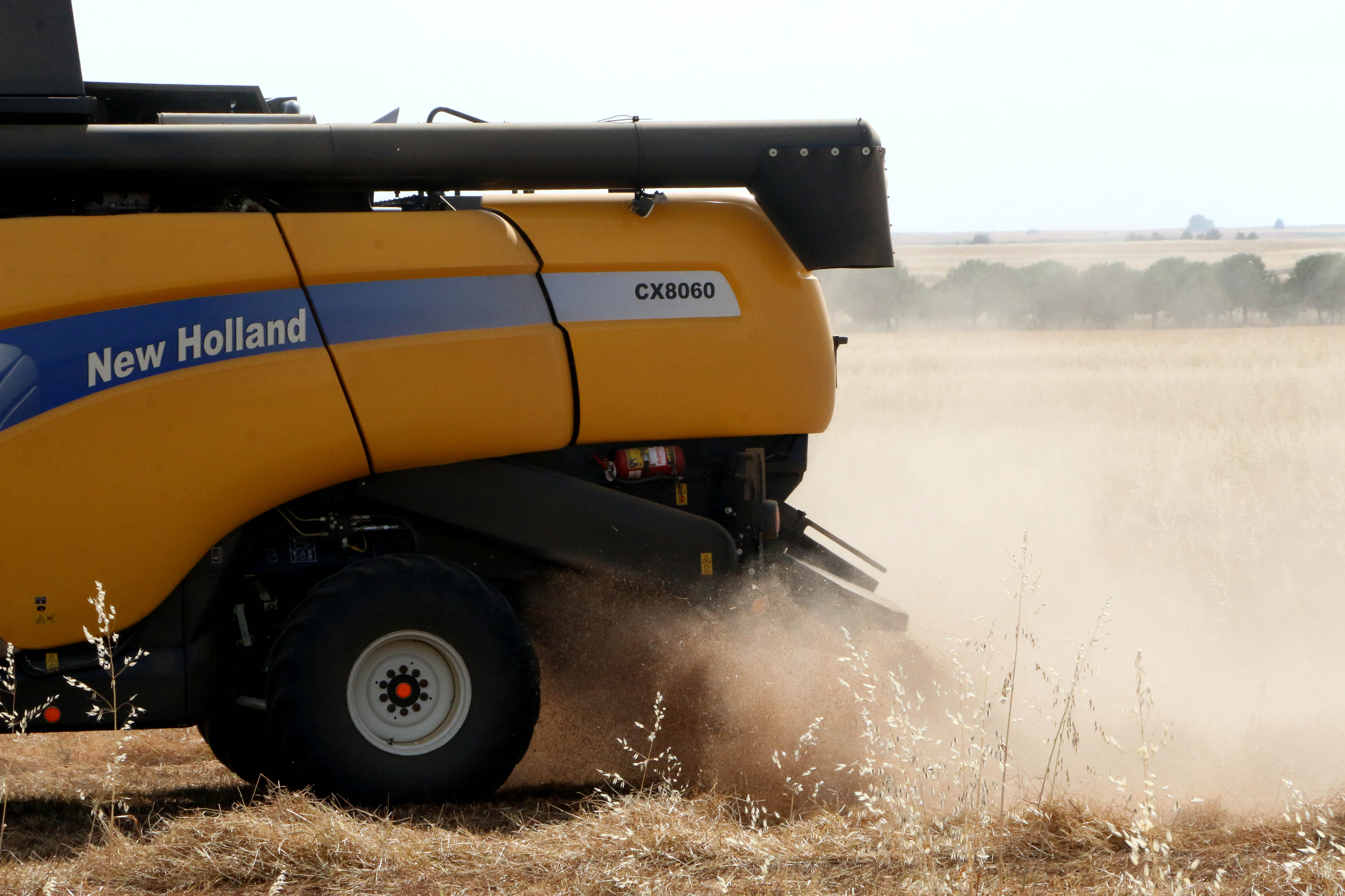 UCCL cifra en hasta un 45% las pérdidas del cereal por las olas de calor