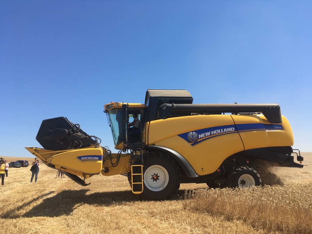 Castilla y León autoriza el pago de 80,4 millones de euros de la&nbsp;PAC