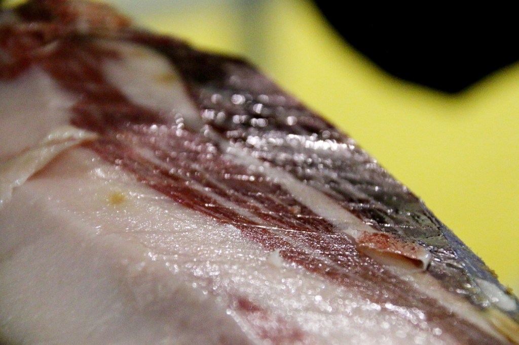 Félix Núñez expone el impacto de Mohos y Levaduras en la calidad del jamón curado en el Campus del Jamón Monte&nbsp;Nevado