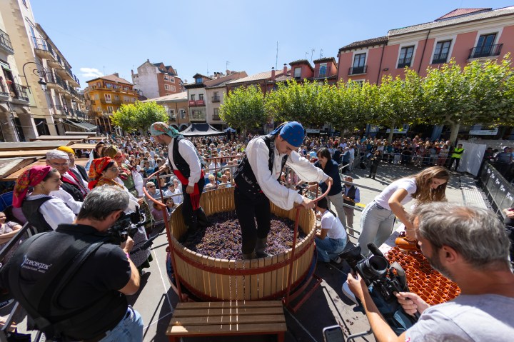 Gran Fiesta de la Vendimia, D.O. Ribera del Duero, Aranda de Duero, vendimia, vinos Ribera del Duero, catas de vino, bodegas Ribera del Duero, cultura del vino, turismo enológico, Consejo Regulador Ribera del Duero, eventos vino, Denominación de Origen Ribera del Duero.