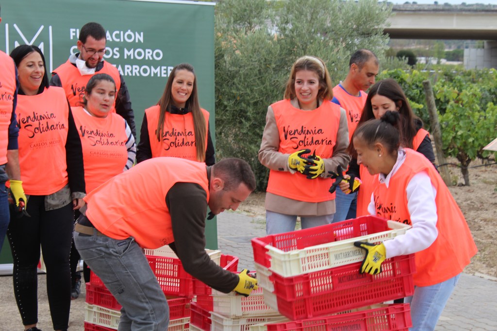 El 3 de octubre tendrá lugar la IV Vendimia Solidaria de la Fundación Carlos Moro de&nbsp;Matarromera