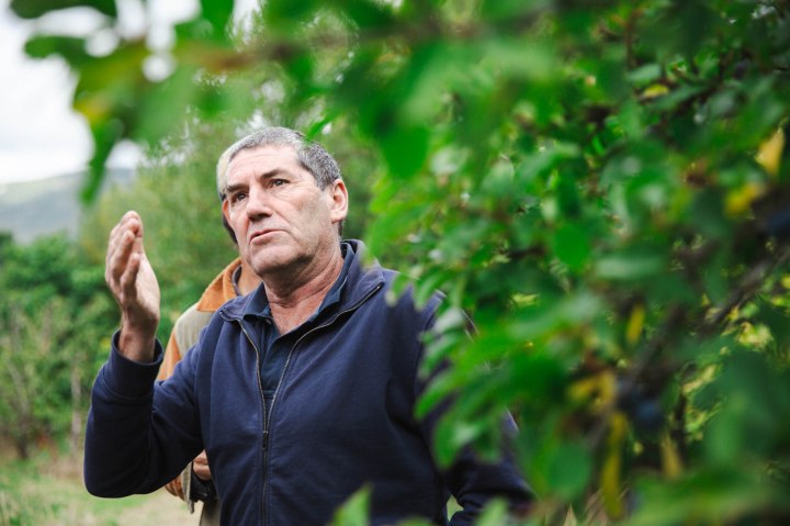 Un bosque que se huele, se oye, se palpa, se mira y… se&nbsp;saborea