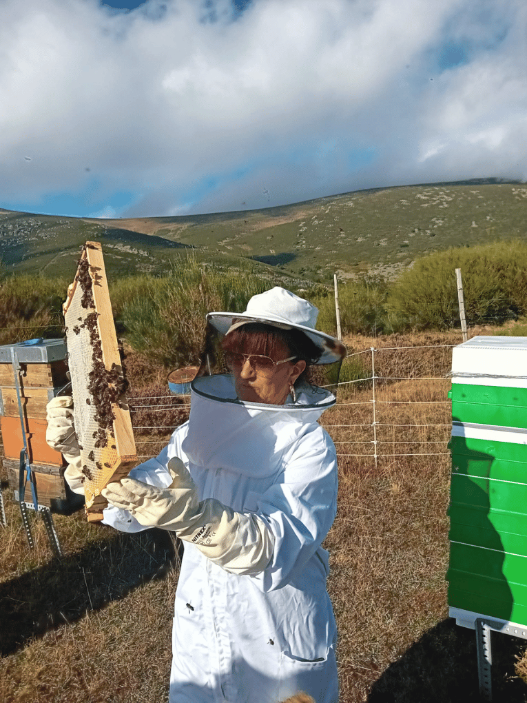 Reactiva Brañosera impulsa la apicultura digital y fomenta la biodiversidad en el municipio más antiguo de España, con innovadoras colmenas inteligentes y proyectos de conservación ambiental