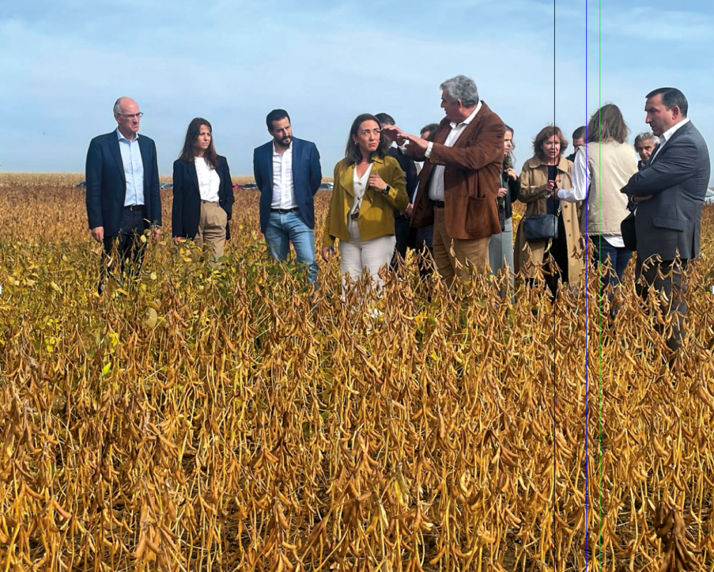 La soja gana terreno en Castilla y&nbsp;León