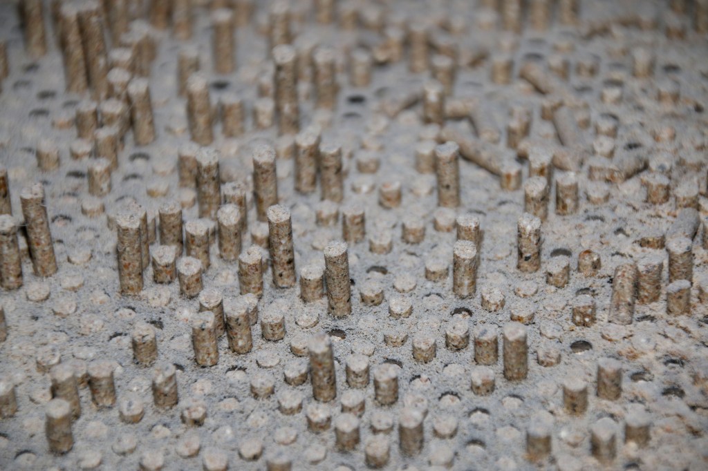 Itacyl desarrolla un sistema avanzado para detectar micotoxinas y garantizar la seguridad&nbsp;alimentaria