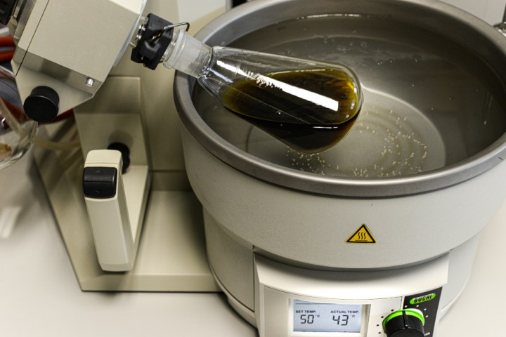 Itacyl participa en el proyecto Lignicoat para desarrollar biorresinas sostenibles a partir de lignina y lúpulo, impulsando recubrimientos industriales más ecológicos y fomentando la economía circular.