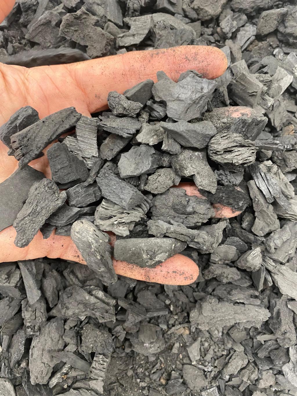 El biochar y colmenas digitalizadasReactiva Brañosera mejora el suelo con biochar y colmenas digitalizadasEl biochar y colmenas&nbsp;digitalizadas