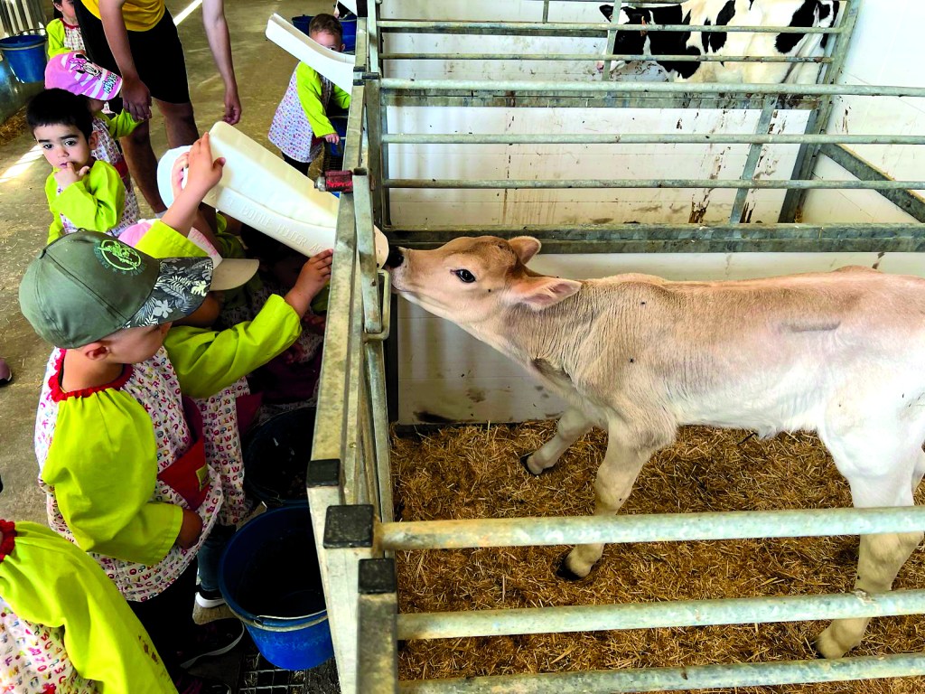 La Ley de Agricultura Familiar abre consulta pública para definir el futuro del sector&nbsp;agrario